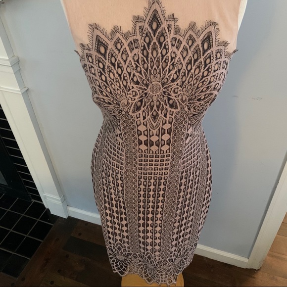 BCBG MaxAzria blush & black lace dress NEW nude - Picture 13 of 16